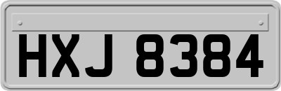 HXJ8384