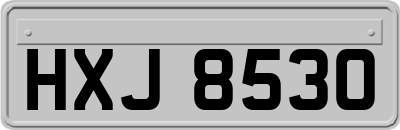 HXJ8530