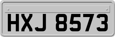 HXJ8573