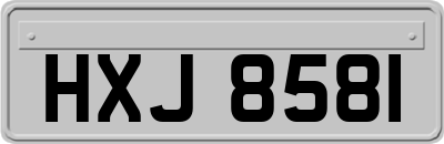 HXJ8581