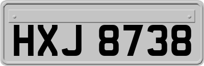 HXJ8738