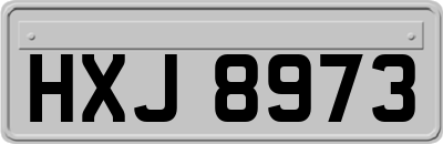 HXJ8973