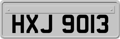 HXJ9013