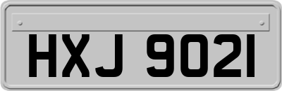 HXJ9021