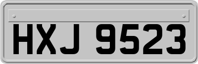 HXJ9523