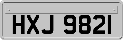 HXJ9821