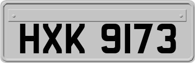 HXK9173