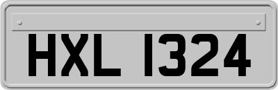 HXL1324
