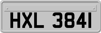 HXL3841
