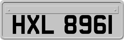 HXL8961
