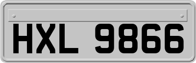 HXL9866