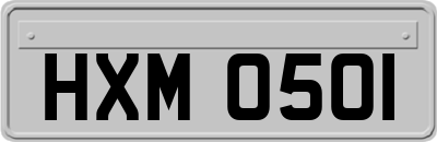HXM0501