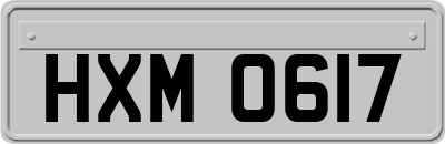 HXM0617