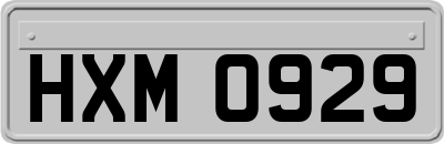 HXM0929