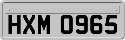 HXM0965