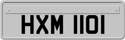 HXM1101