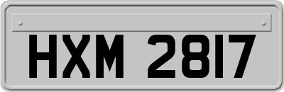 HXM2817