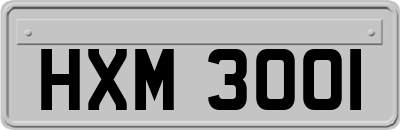 HXM3001