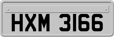 HXM3166