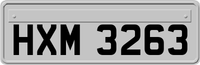 HXM3263