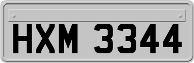 HXM3344