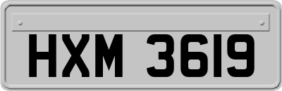 HXM3619