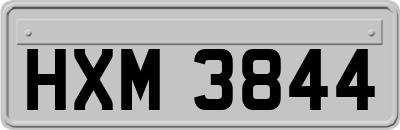 HXM3844