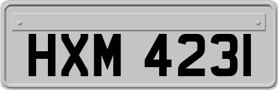 HXM4231