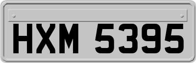 HXM5395
