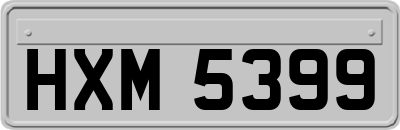 HXM5399