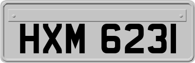 HXM6231