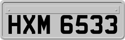 HXM6533