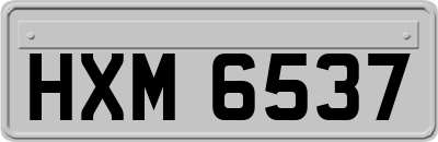 HXM6537