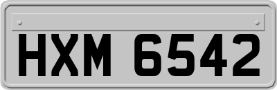 HXM6542