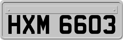 HXM6603