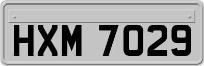 HXM7029