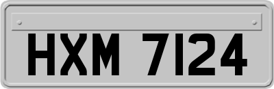 HXM7124