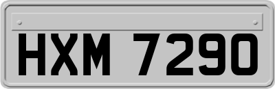 HXM7290