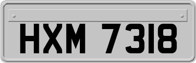 HXM7318