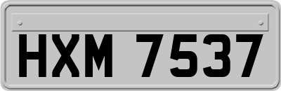 HXM7537