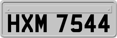 HXM7544