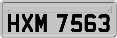 HXM7563