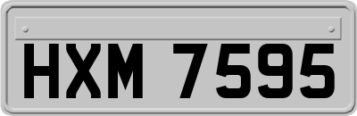 HXM7595