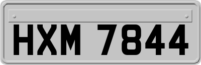 HXM7844