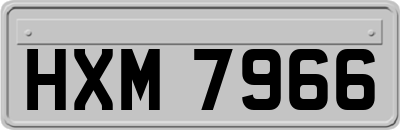 HXM7966