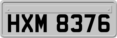 HXM8376