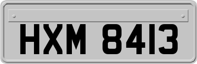 HXM8413
