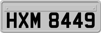 HXM8449