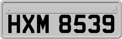 HXM8539