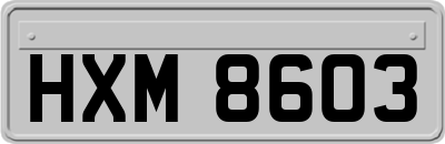 HXM8603